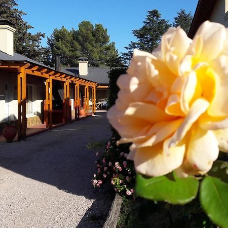 Complejo Las Calandrias Villa Sierra de la Ventana Luaran gambar